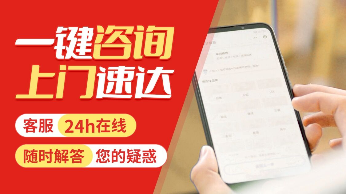 阳春关于我们